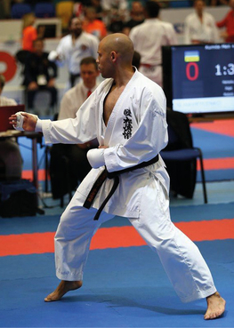 Shotokan karate do international	- Belgium